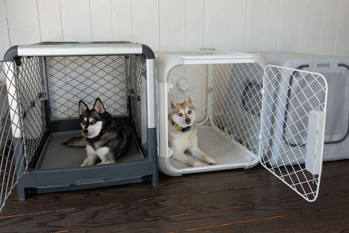 Revol Vs Evolv Vs Enventur Best Diggs Dog Crate? Worth It?