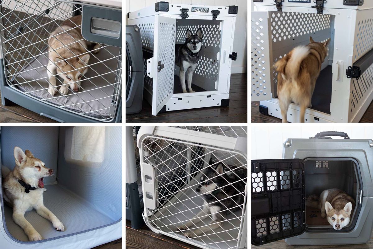 Best Travel Kennels for Dogs: Top Durable & Comfortable Picks