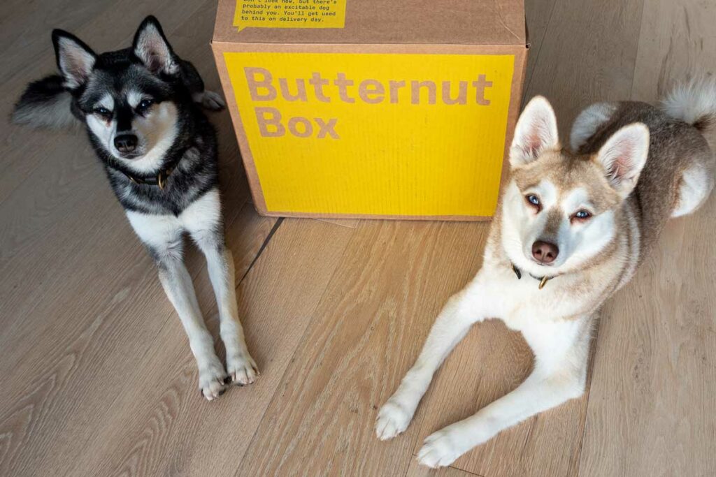 Copper and Skye with their Butternut Box delivery (Photo: lifewithkleekai.com)