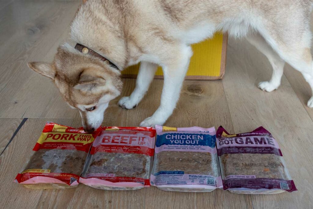 Copper with his Butternut Box delivery (Photo: lifewithkleekai.com)