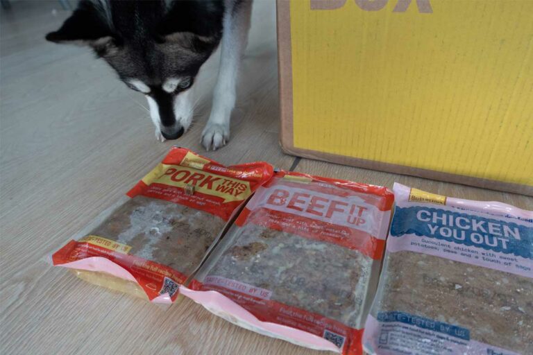 Butternut Box Vs Different Dog What's The Difference?