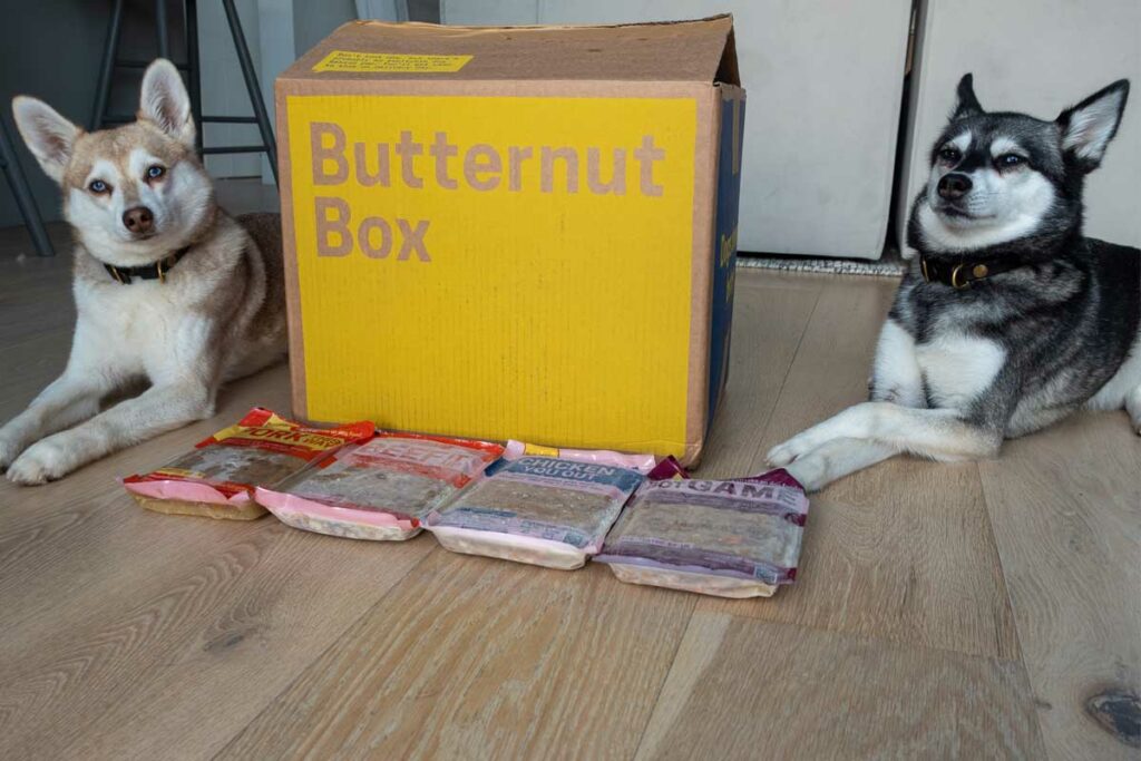 Copper and Skye with their Butternut Box delivery (Photo: lifewithkleekai.com)