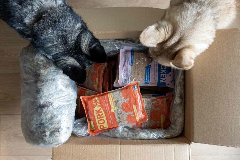 Copper and his Butternut Box meals (Photo: lifewithkleekai.com)