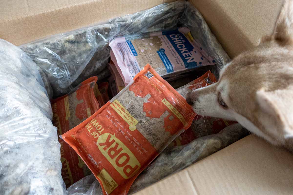 Butternut Box Price How Much Does It Cost A Month? Worth It?