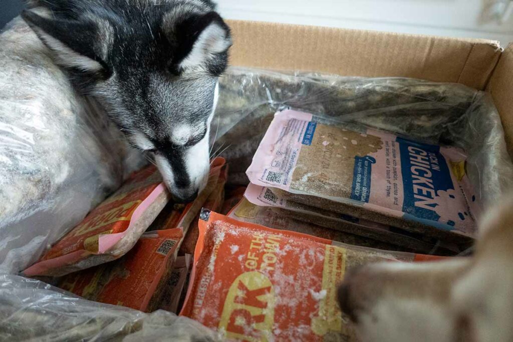 Copper and his Butternut Box meals (Photo: lifewithkleekai.com)