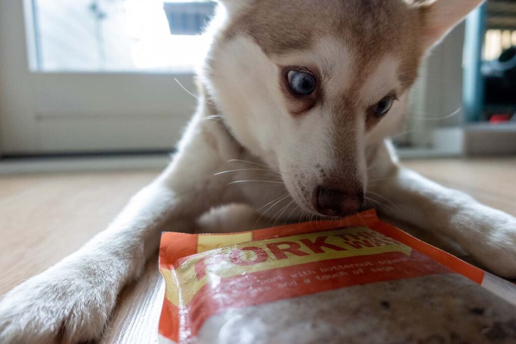 Copper with his Butternut Box meals (Photo: lifewithkleekai.com)