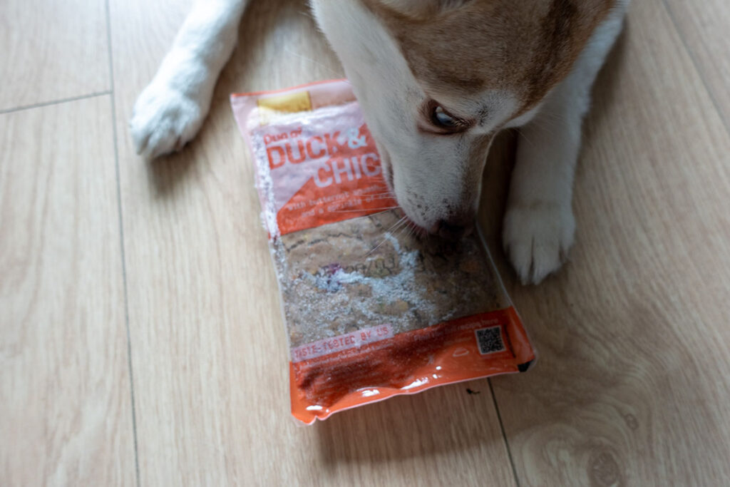 Copper and his Butternut Box meals (Photo: lifewithkleekai.com)