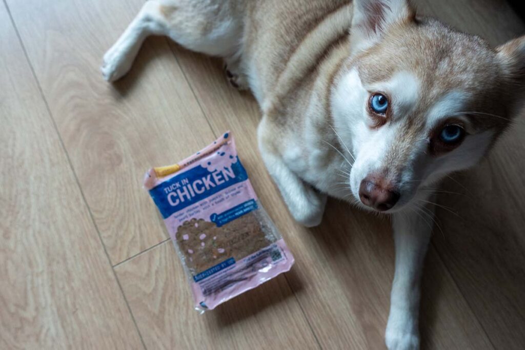 Copper and his Butternut Box meals (Photo: lifewithkleekai.com)