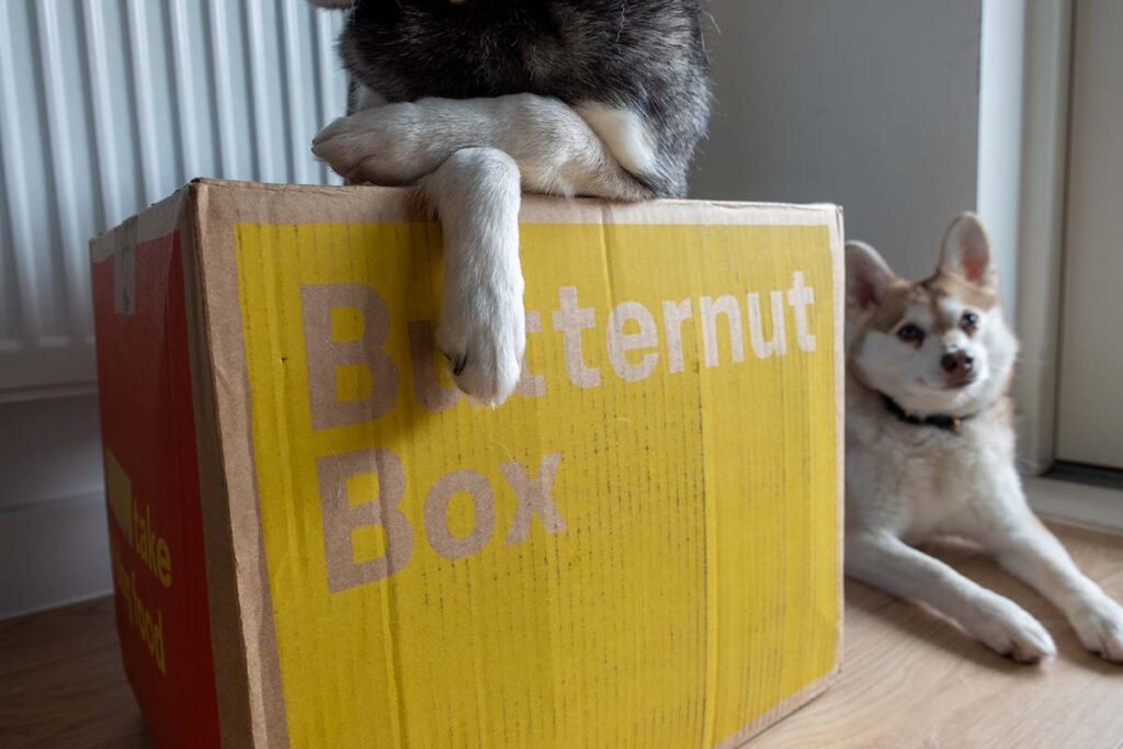 Butternut Box (Photo: lifewithkleekai.com)