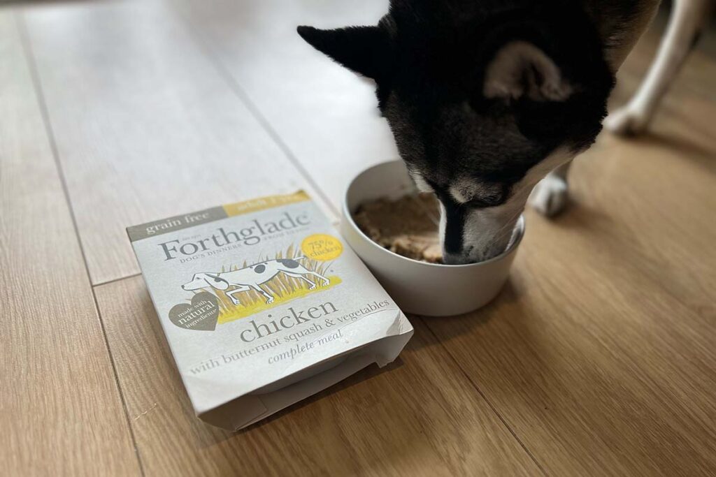 Skye and her Forthglade food (Photo: lifewithkleekai.com)