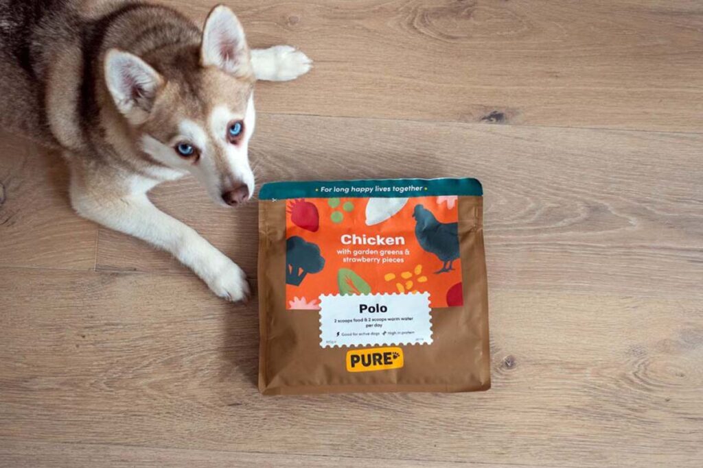 Copper with Pure Pet Food (Photo: lifewithkleekai.com)