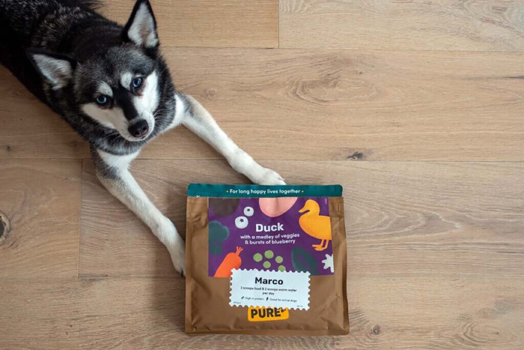 Skye with Pure Pet Food (Photo: lifewithkleekai.com)