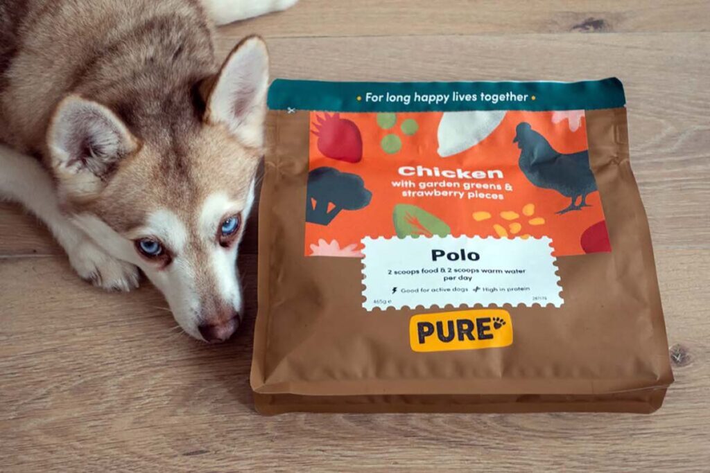 Copper with Pure Pet Food (Photo: lifewithkleekai.com)