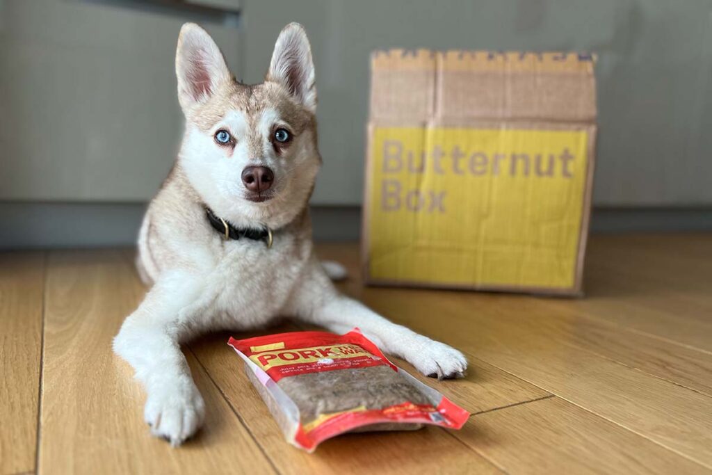 Copper with one of his favourite Butternut Box recipes (Photo: lifewithkleekai.com)