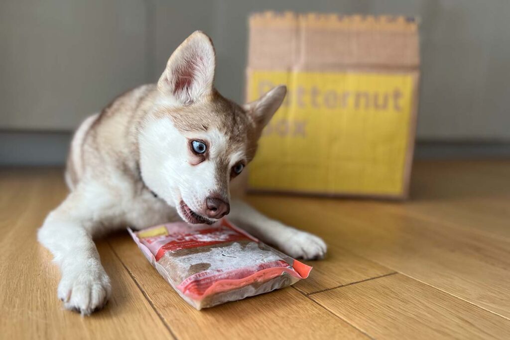 Copper with one of his favourite Butternut Box recipes (Photo: lifewithkleekai.com)