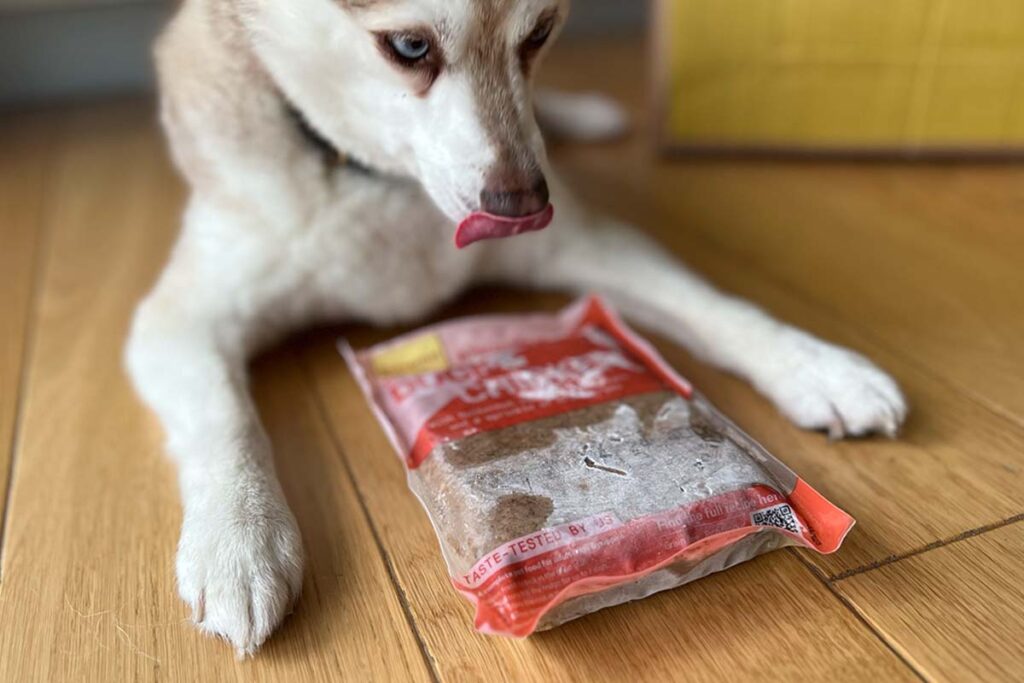 Copper with one of his favourite Butternut Box recipes (Photo: lifewithkleekai.com)