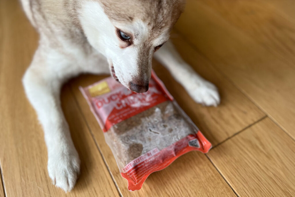 Copper with one of his favourite Butternut Box recipes (Photo: lifewithkleekai.com)