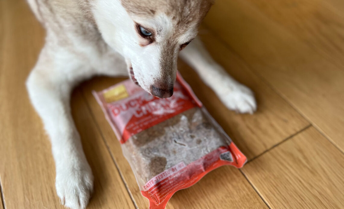 Copper with one of his favourite Butternut Box recipes (Photo: lifewithkleekai.com)