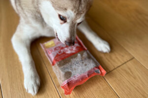 Copper with one of his favourite Butternut Box recipes (Photo: lifewithkleekai.com)