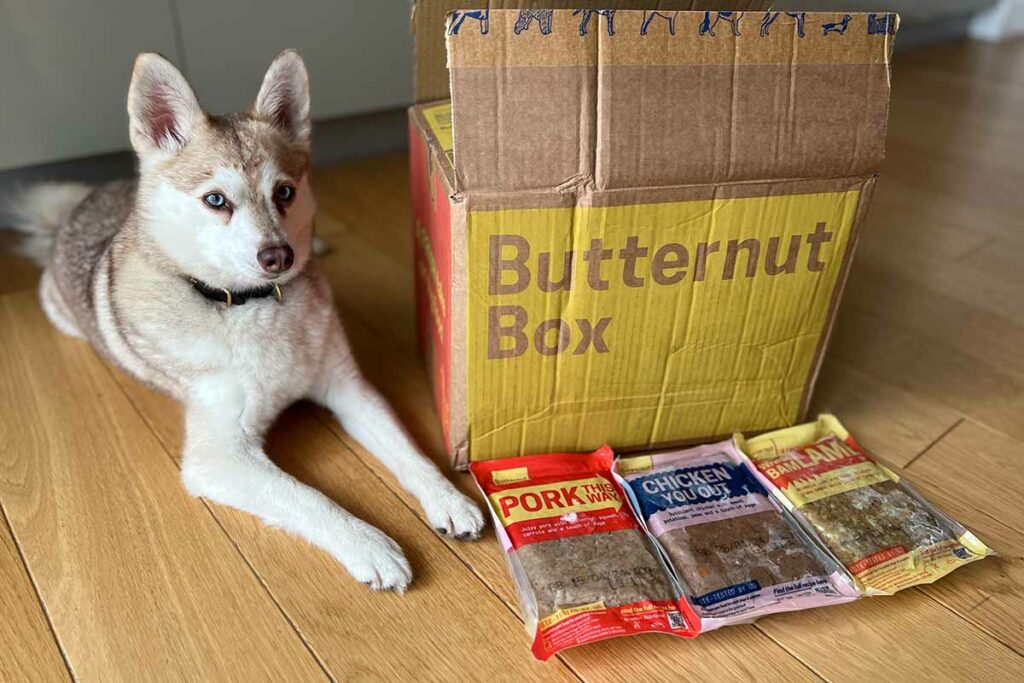 Copper and his Butternut Box delivery (Photo: lifewithkleekai.com)