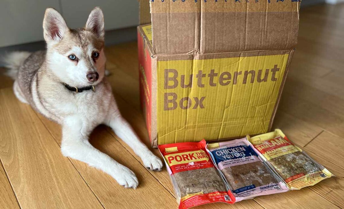 Copper and his Butternut Box delivery (Photo: lifewithkleekai.com)