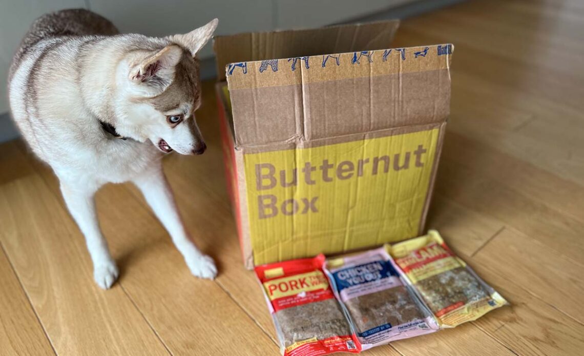 Copper and his Butternut Box delivery (Photo: lifewithkleekai.com)