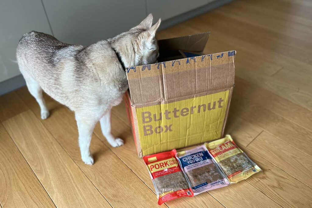 Copper and his Butternut Box delivery