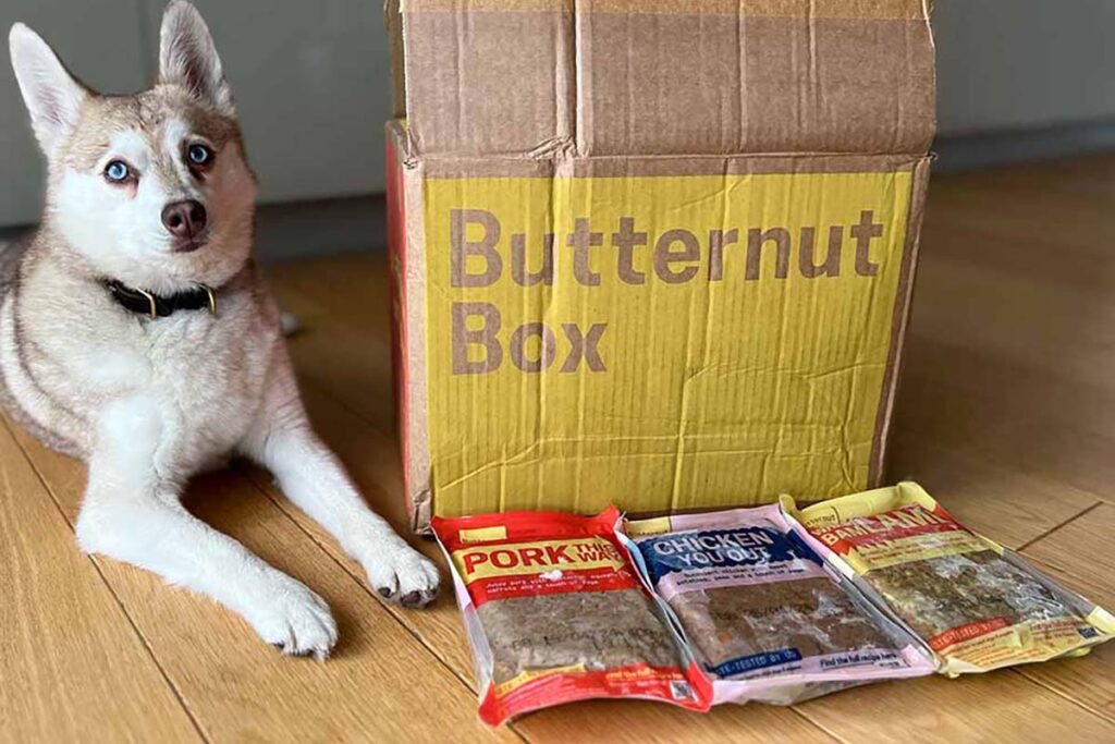 Copper and his Butternut Box delivery (Photo: lifewithkleekai.com)