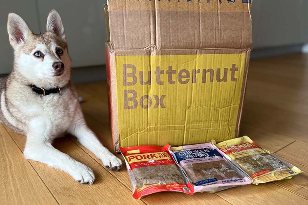 Copper and his Butternut Box delivery (Photo: lifewithkleekai.com)