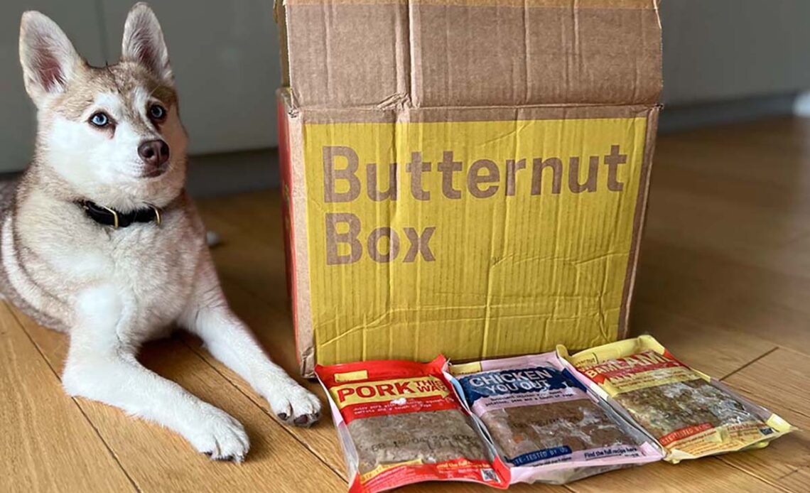 Butternut Box dog food delivery