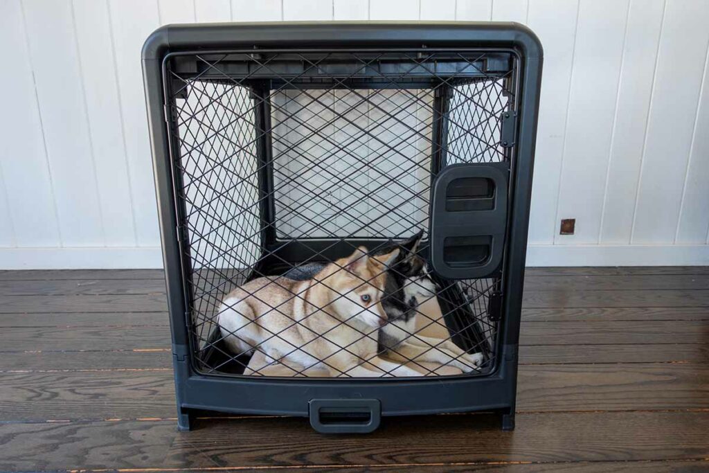 Crate Training Set - Diggs