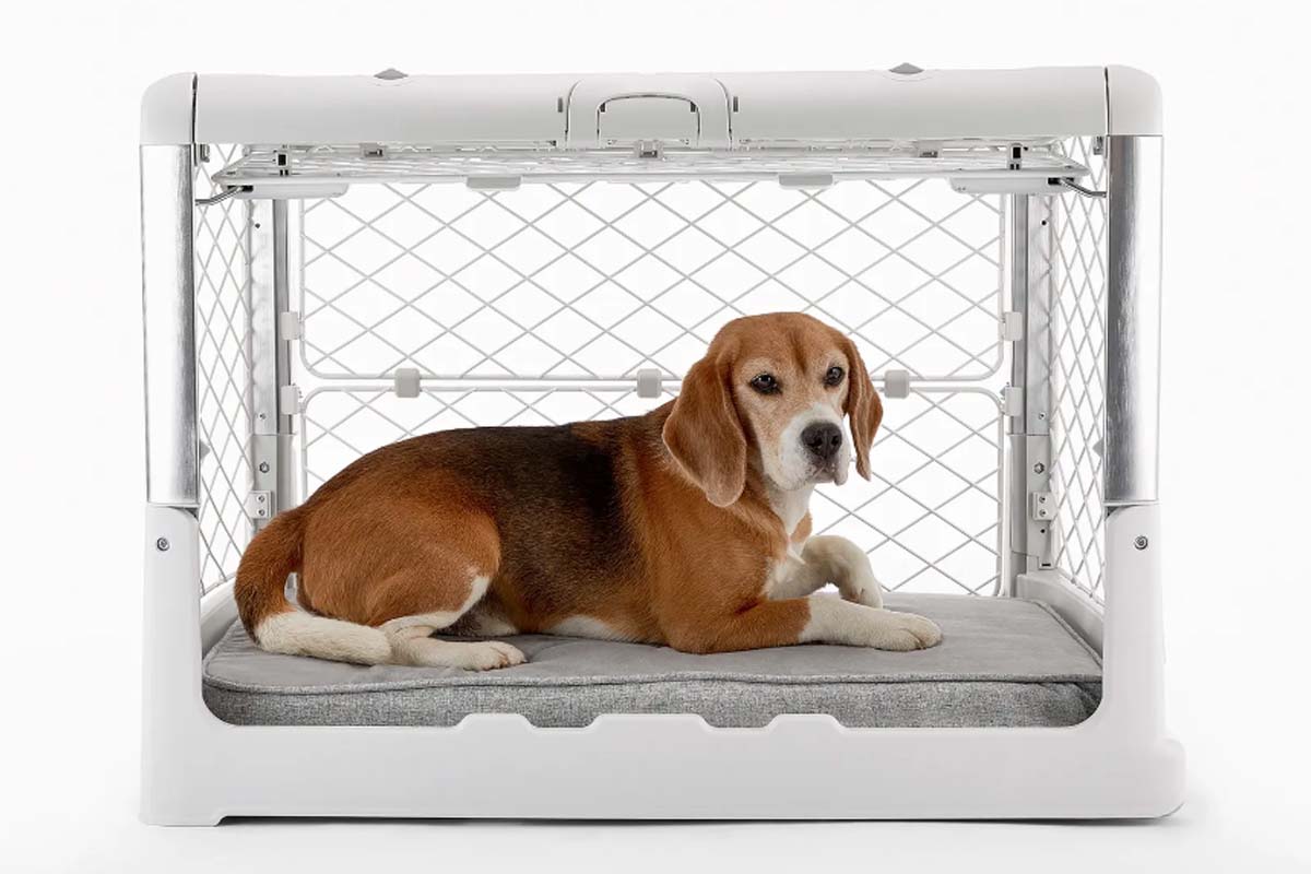 Best Collapsible Dog Crates For Small Dogs Tested & Reviewed Life