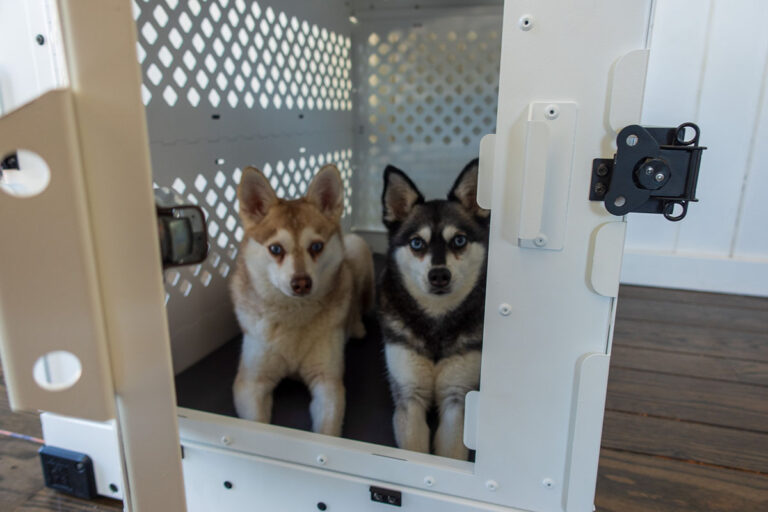 Impact Collapsible Dog Crate Review Our Verdict, Pros & Cons