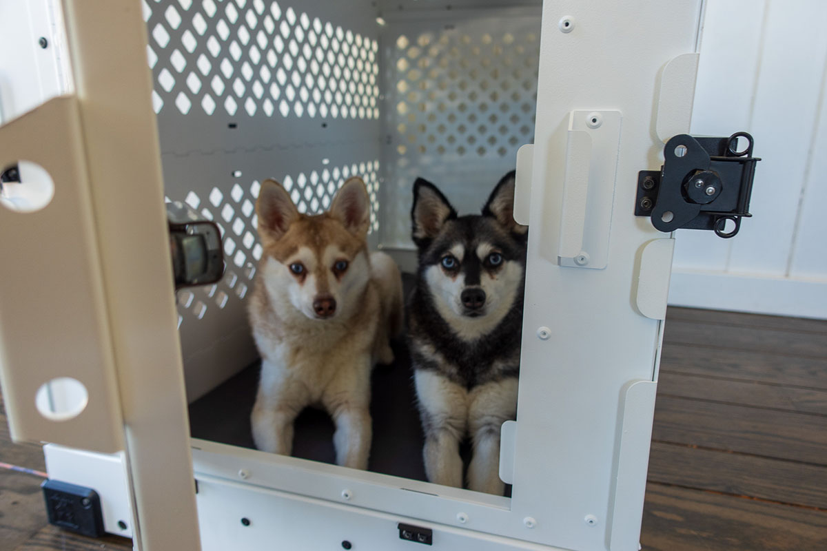 Impact Collapsible Dog Crate Review Our Verdict, Pros & Cons