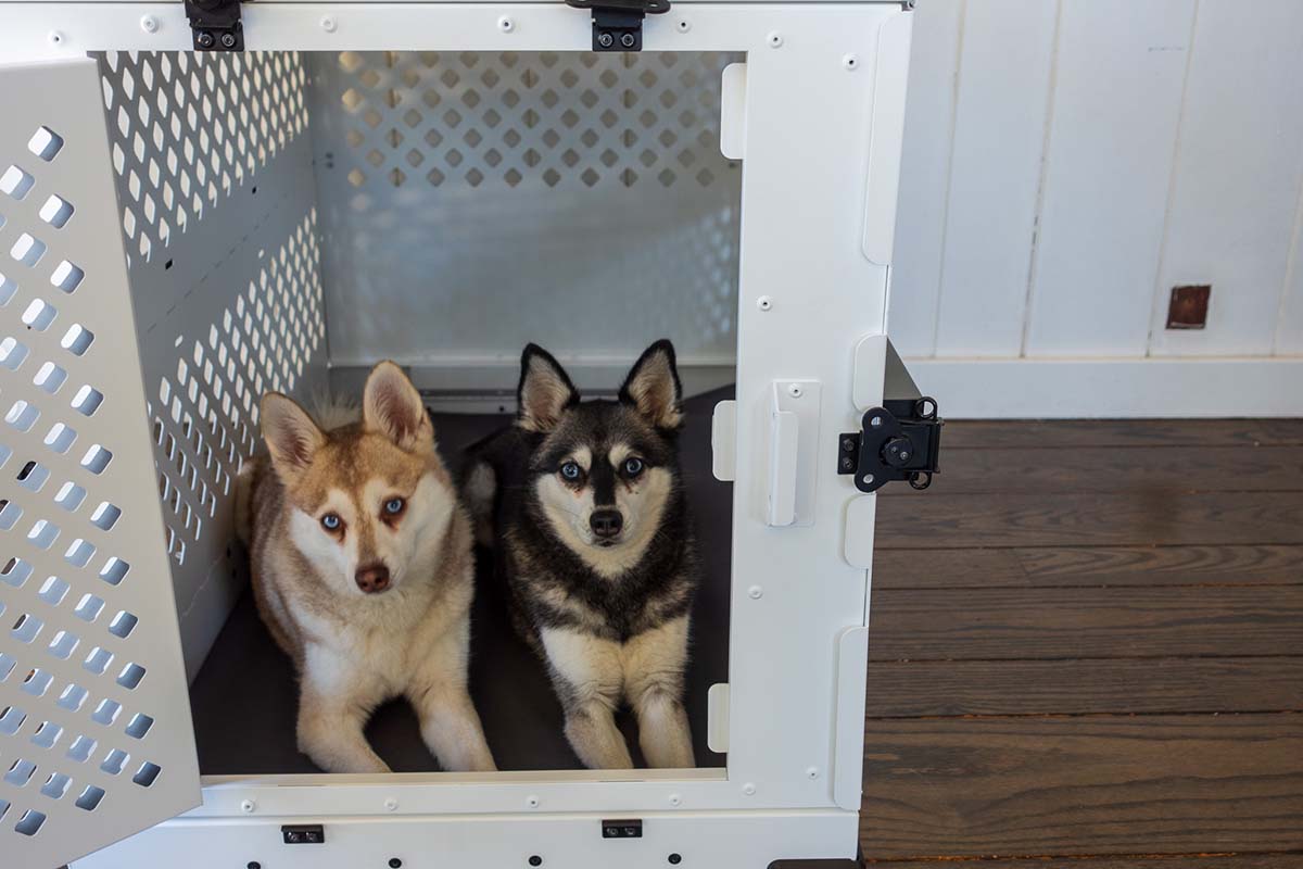 Impact Collapsible Dog Crate Vs Gunner G1 Kennel Our Verdict