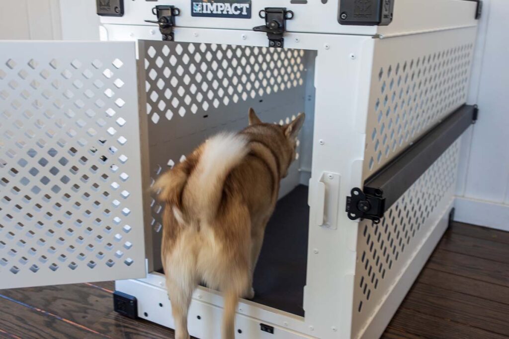 Impact dog crates review hotsell