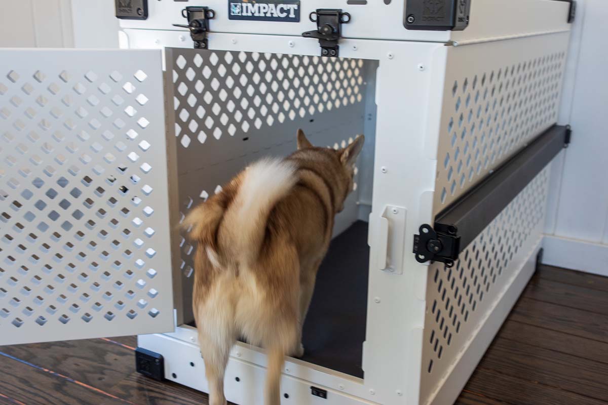 Impact Collapsible Dog Crate Review Our Verdict, Pros & Cons