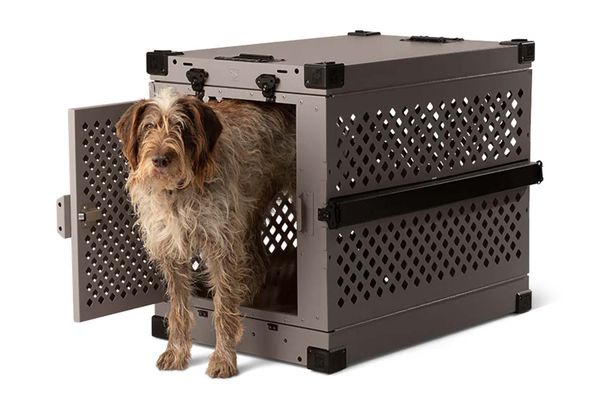 Best Collapsible Dog Crates For Small Dogs Tested & Reviewed Life