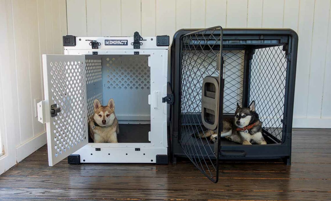 Collapsible cage shop for dogs