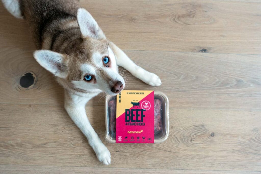 Copper with his Naturaw meals (Photo: lifewithkleekai)