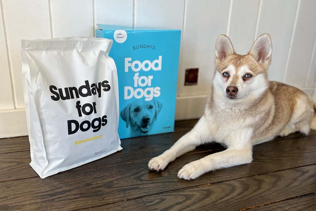 Copper and his Sundays For Dogs food (Photo: lifewithkleekai)