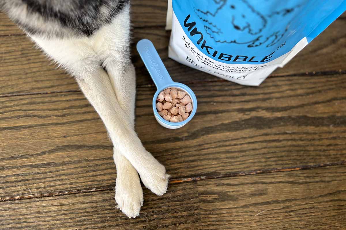 UnKibble Vs Ollie What's The Difference? Our Review