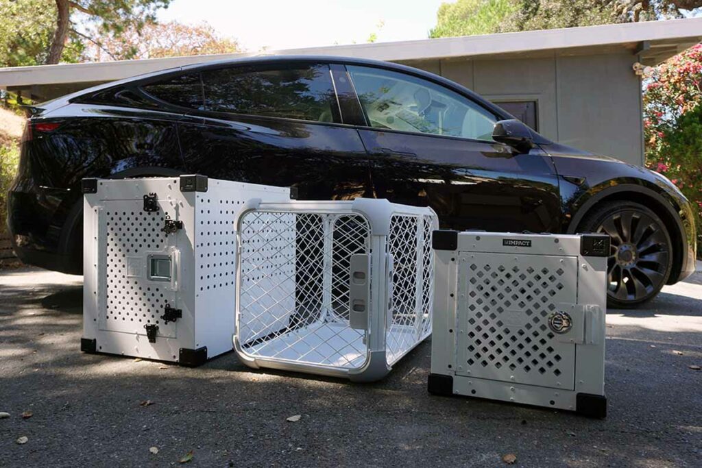 Best dog crates for the Tesla Model Y (Photo: lifewithkleekai.com)