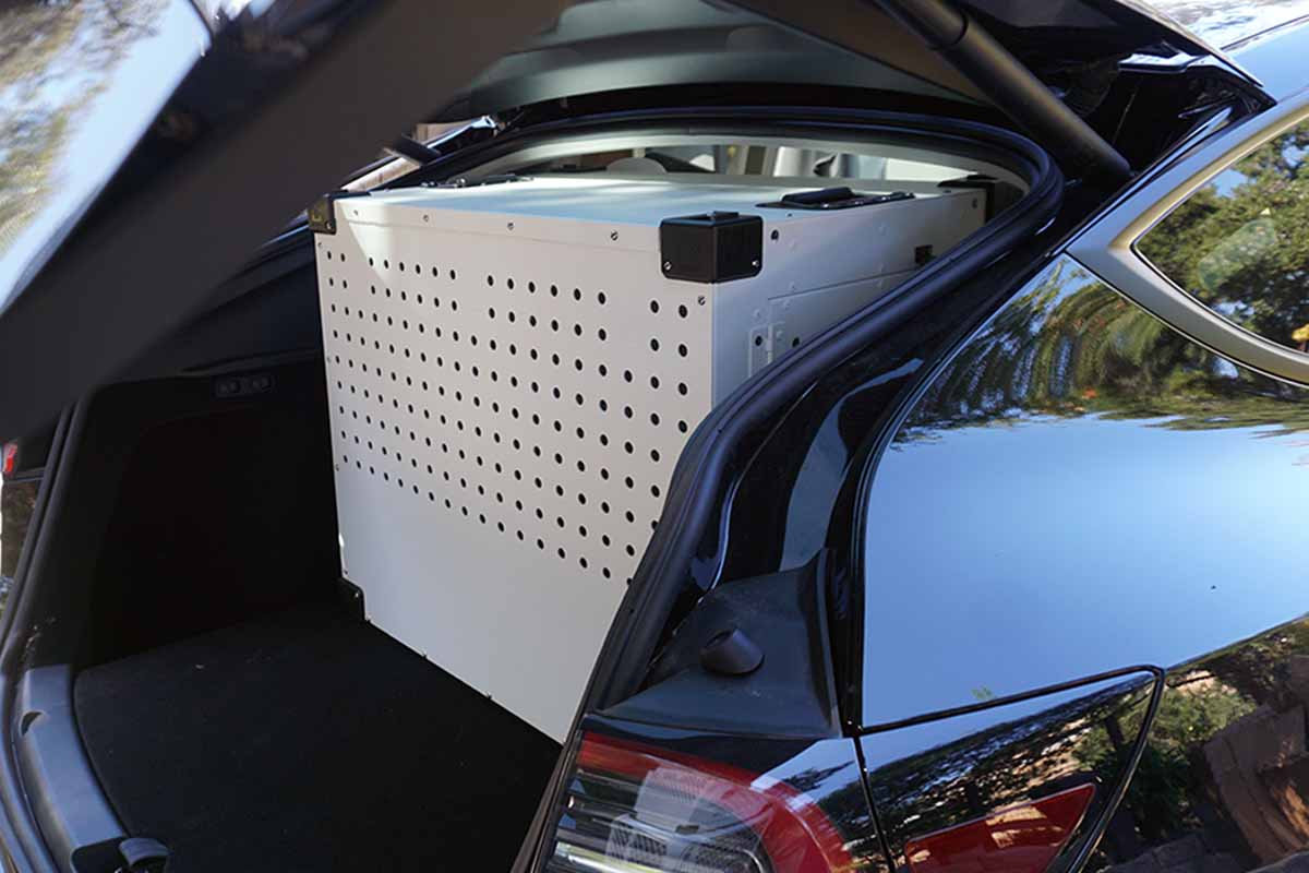 Best Dog Crates For Tesla Model Y Tested & Reviewed