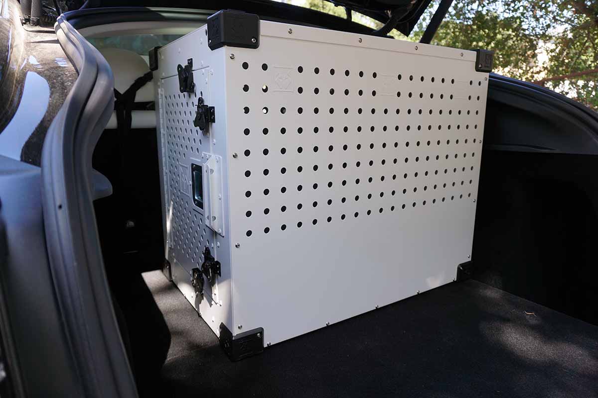 Best Dog Crates For Tesla Model Y Tested & Reviewed