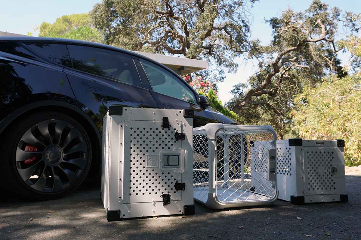 Best Dog Crates For Tesla Model Y Tested & Reviewed