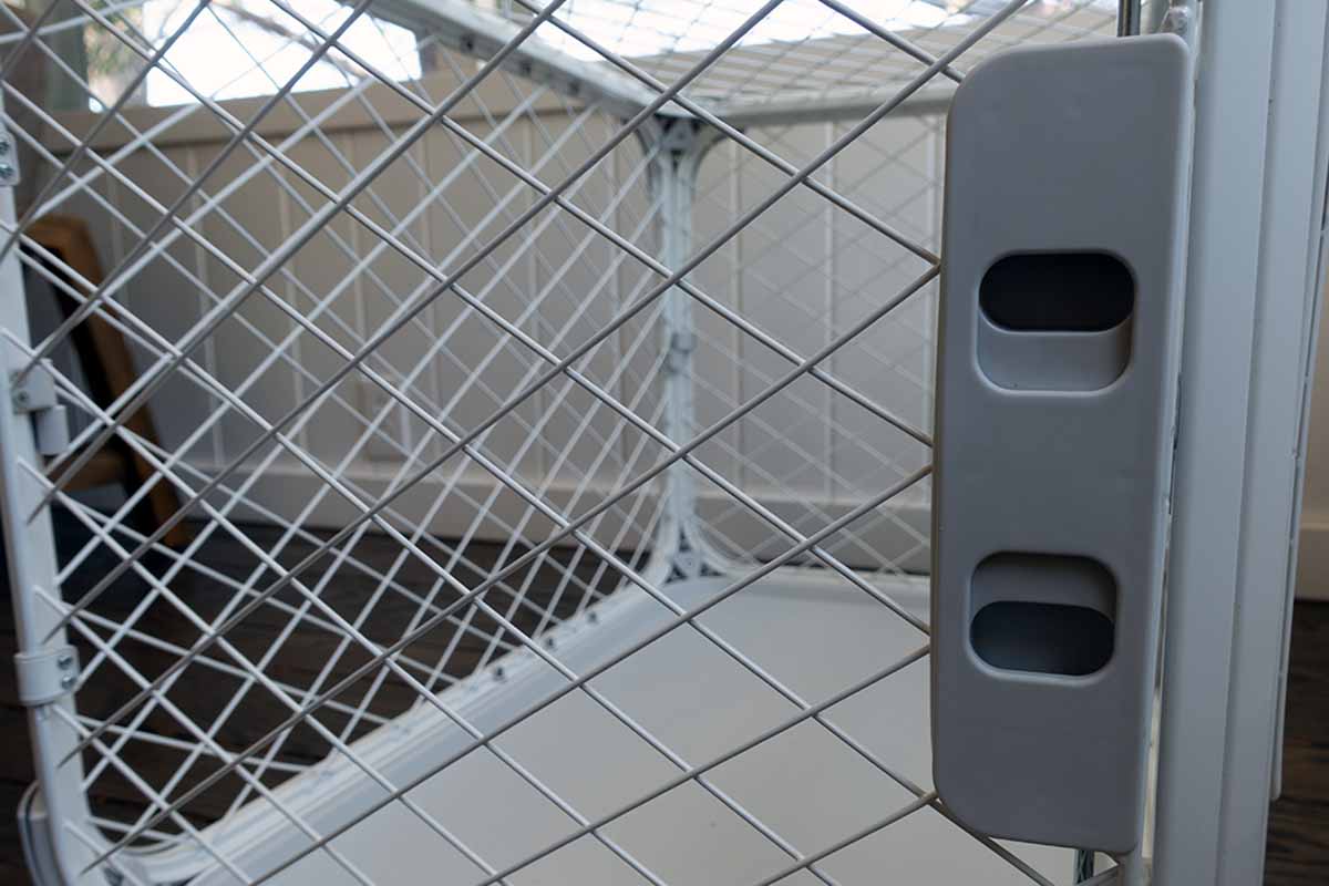 Diggs Evolv Dog Crate Review Our Verdict, Pros & Cons