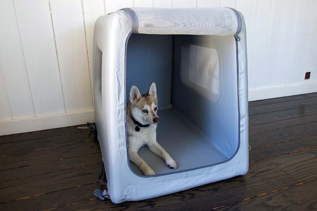 Copper in his Enventur Travel Kennel (Photo: Diggs)