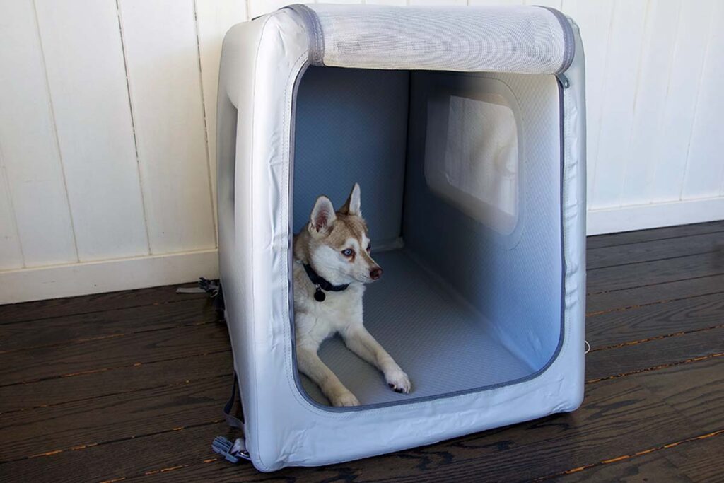 Copper in his Enventur Travel Kennel (Photo: Diggs)