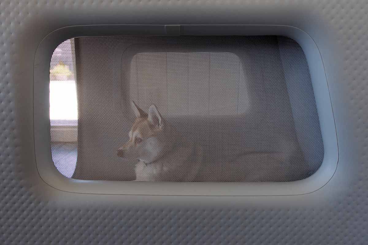 enventur-travel-kennel-review-pros-cons-our-honest-review